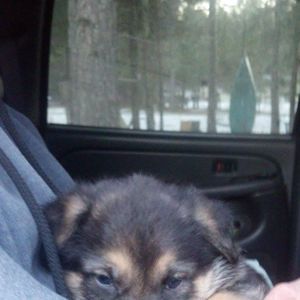 Meet your Posher, Debbie